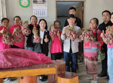 ร่วมกระจายผลผลิตหอมแดงสดจากเกษตรกรจังหวัดศรีสะเกษ ... พารามิเตอร์รูปภาพ 3