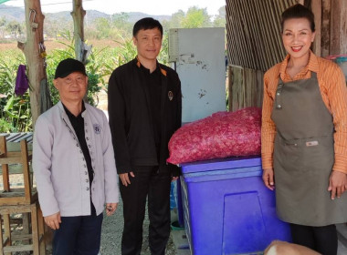 ร่วมกระจายผลผลิตหอมแดงสดจากเกษตรกรจังหวัดศรีสะเกษ ... พารามิเตอร์รูปภาพ 5