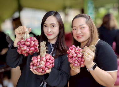 สำนักงานเกษตรจังหวัดเชียงรายร่วมสนับสนุนผลผลิตหอมแดงสดจากเกษตรกรจังหวัดศรีสะเกษ ... พารามิเตอร์รูปภาพ 2