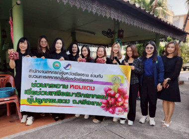 สำนักงานเกษตรจังหวัดเชียงรายร่วมสนับสนุนผลผลิตหอมแดงสดจากเกษตรกรจังหวัดศรีสะเกษ ... พารามิเตอร์รูปภาพ 3