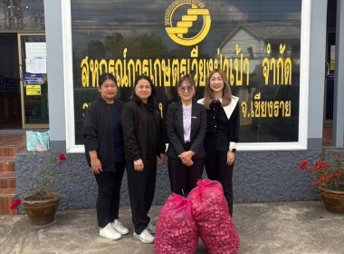 สำนักงานสหกรณ์จังหวัดเชียงรายร่วมสนับสนุนผลผลิตหอมแดงสดจากเกษตรกรจังหวัดศรีสะเกษ ... พารามิเตอร์รูปภาพ 6