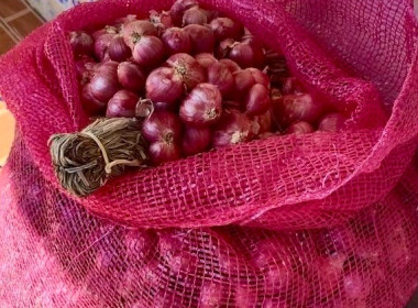 ร่วมกระจายผลผลิตหอมแดงสดจากเกษตรกรจังหวัดศรีสะเกษให้แก่สหกรณ์ในพื้นที่ ... พารามิเตอร์รูปภาพ 6