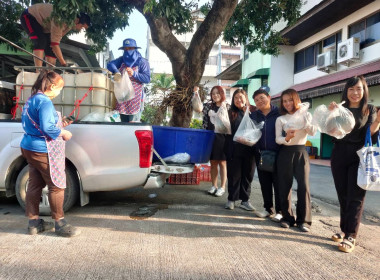 ช่วยเหลือสมาชิกสหกรณ์ แก้ปัญหาปลานิลล้นตลาด พารามิเตอร์รูปภาพ 4