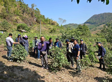 เข้าร่วมการฝึกอบรม ... พารามิเตอร์รูปภาพ 16