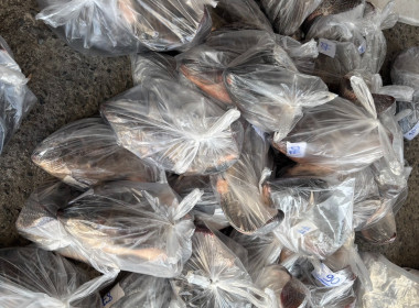 สหกรณ์จังหวัดเชียงรายกระจายปลานิลออกนอกพื้นที่ ... พารามิเตอร์รูปภาพ 25