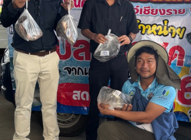 สหกรณ์จังหวัดเชียงรายกระจายปลานิลออกนอกพื้นที่ ... พารามิเตอร์รูปภาพ 27