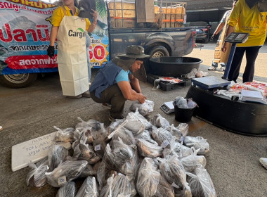สหกรณ์จังหวัดเชียงรายกระจายปลานิลออกนอกพื้นที่ ... พารามิเตอร์รูปภาพ 5