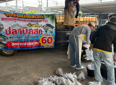 สหกรณ์จังหวัดเชียงรายกระจายปลานิลออกนอกพื้นที่ ... พารามิเตอร์รูปภาพ 8