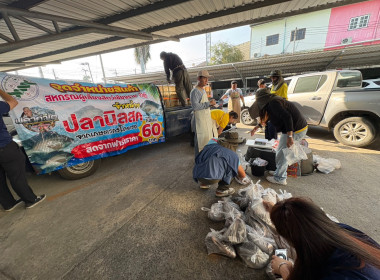 สหกรณ์จังหวัดเชียงรายกระจายปลานิลออกนอกพื้นที่ ... พารามิเตอร์รูปภาพ 14
