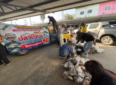 สหกรณ์จังหวัดเชียงรายกระจายปลานิลออกนอกพื้นที่ ... พารามิเตอร์รูปภาพ 15