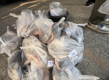 สหกรณ์จังหวัดเชียงรายกระจายปลานิลออกนอกพื้นที่ ... พารามิเตอร์รูปภาพ 19