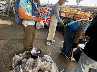 สหกรณ์จังหวัดเชียงรายกระจายปลานิลออกนอกพื้นที่ ... พารามิเตอร์รูปภาพ 22