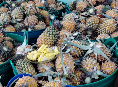 สำนักงานสหกรณ์จังหวัดเชียงรายกระจายผลผลิตสับปะรดภูแลออกนอกพื้นที่การผลิต ... พารามิเตอร์รูปภาพ 6