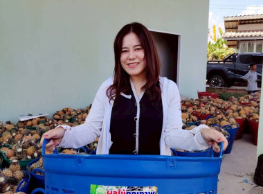 สำนักงานสหกรณ์จังหวัดเชียงรายกระจายผลผลิตสับปะรดภูแลออกนอกพื้นที่การผลิต ... พารามิเตอร์รูปภาพ 10