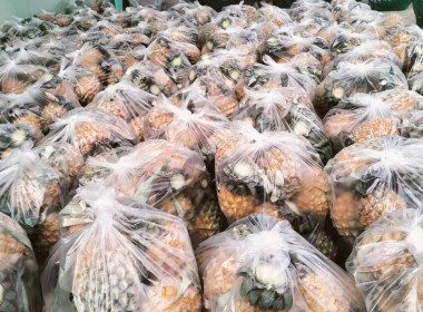 สำนักงานสหกรณ์จังหวัดเชียงรายกระจายผลผลิตสับปะรดภูแลออกนอกพื้นที่การผลิต ... พารามิเตอร์รูปภาพ 11