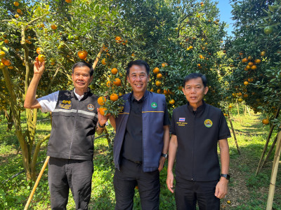 สหกรณ์จังหวัดเชียงราย ... พารามิเตอร์รูปภาพ 1