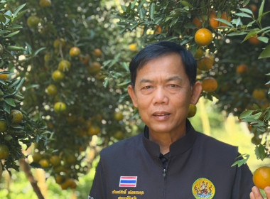 สหกรณ์จังหวัดเชียงราย ... พารามิเตอร์รูปภาพ 3