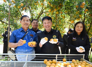 สหกรณ์จังหวัดเชียงราย ... พารามิเตอร์รูปภาพ 2