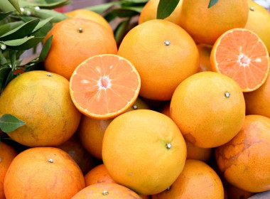 สหกรณ์จังหวัดเชียงราย ... พารามิเตอร์รูปภาพ 7