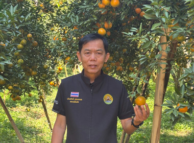 สหกรณ์จังหวัดเชียงราย ... พารามิเตอร์รูปภาพ 10