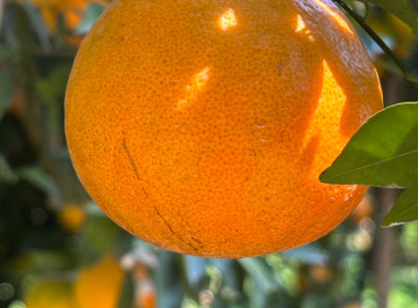 สหกรณ์จังหวัดเชียงราย ... พารามิเตอร์รูปภาพ 14