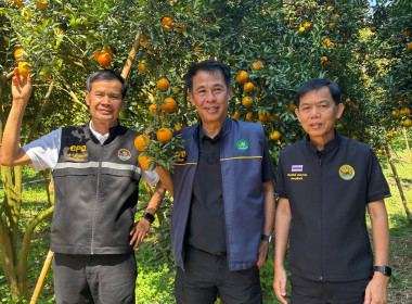 สหกรณ์จังหวัดเชียงราย ... พารามิเตอร์รูปภาพ 16