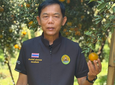 สหกรณ์จังหวัดเชียงราย ... พารามิเตอร์รูปภาพ 17