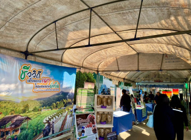 เข้าร่วมงานเวทีรณรงค์ "Green Gain Day" ... พารามิเตอร์รูปภาพ 12