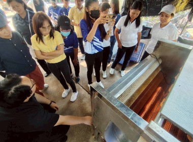 โครงการยกระดับคุณภาพมาตรฐานสินค้าเกษตร พารามิเตอร์รูปภาพ 8