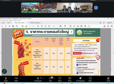 ประชุมหารือแนวทางบริหารจัดการผลผลิตหอมหัวใหญ่ออกนอกแหล่งผลิตของจังหวัดเชียงใหม่ ... พารามิเตอร์รูปภาพ 7