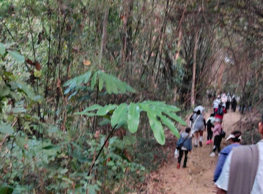 เข้าร่วมงานสืบสานประเพณีนมัสการและสรงน้ำพระธาตุดอยตุง ... พารามิเตอร์รูปภาพ 11