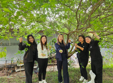 เข้าตรวจเยี่ยมการคัดผลผลิตของสมาชิกของสหกรณ์การเกษตรโครงการหลวงห้วยน้ำขุ่น จำกัด ... พารามิเตอร์รูปภาพ 7