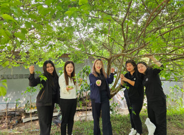 เข้าตรวจเยี่ยมการคัดผลผลิตของสมาชิกของสหกรณ์การเกษตรโครงการหลวงห้วยน้ำขุ่น จำกัด ... พารามิเตอร์รูปภาพ 8