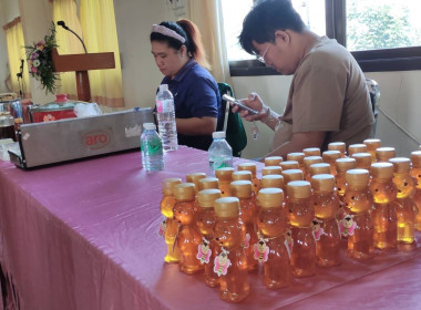 อบรมโครงการส่งเสริมและพัฒนาอาชีพกลุ่มเลี้ยงผึ้ง ... พารามิเตอร์รูปภาพ 2