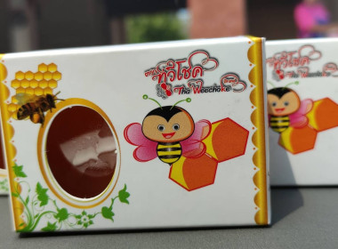 อบรมโครงการส่งเสริมและพัฒนาอาชีพกลุ่มเลี้ยงผึ้ง ... พารามิเตอร์รูปภาพ 13