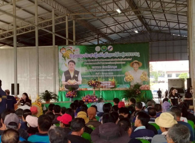 ร่วมพิธีปล่อยคาราวานหอมหัวใหญ่ ... พารามิเตอร์รูปภาพ 13