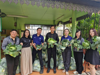 กระจายผลผลิตกะหล่ำปลี ปลอดสารตกค้าง ... พารามิเตอร์รูปภาพ 1