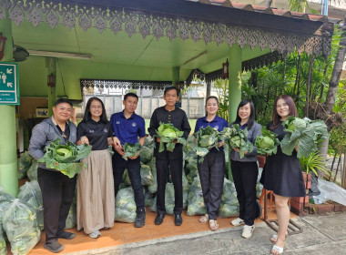 กระจายผลผลิตกะหล่ำปลี ปลอดสารตกค้าง ... พารามิเตอร์รูปภาพ 7