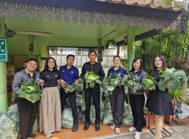 กระจายผลผลิตกะหล่ำปลี ปลอดสารตกค้าง ... พารามิเตอร์รูปภาพ 8