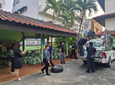 กระจายผลผลิตกะหล่ำปลี ปลอดสารตกค้าง ... พารามิเตอร์รูปภาพ 9