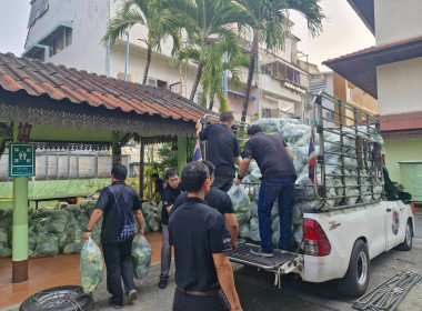 กระจายผลผลิตกะหล่ำปลี ปลอดสารตกค้าง ... พารามิเตอร์รูปภาพ 10