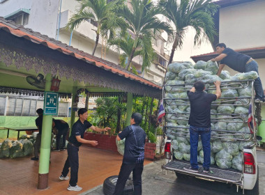 กระจายผลผลิตกะหล่ำปลี ปลอดสารตกค้าง ... พารามิเตอร์รูปภาพ 17