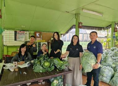 กระจายผลผลิตกะหล่ำปลี ปลอดสารตกค้าง ... พารามิเตอร์รูปภาพ 5