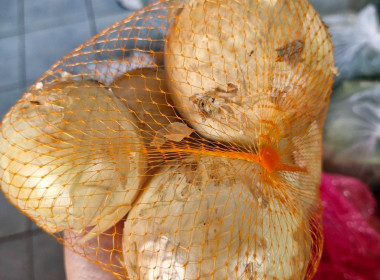 "หอมนี้เพื่อเธอ รักนะ" สหกรณ์จังหวัดเชียงราย ... พารามิเตอร์รูปภาพ 7