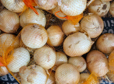 "หอมนี้เพื่อเธอ รักนะ" สหกรณ์จังหวัดเชียงราย ... พารามิเตอร์รูปภาพ 8