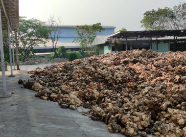 เข้าตรวจเยี่ยมแนวทางการบริหารจัดการกลิ่นน้ำยางพาราเพื่อลดผลกระทบต่อชุมชนข้างเคียงสหกรณ์การเกษตรพญาเม็งราย จำกัด ... พารามิเตอร์รูปภาพ 4