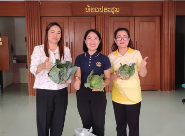 กลุ่มส่งเสริมสหกรณ์ 6 ... พารามิเตอร์รูปภาพ 2