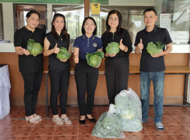 กลุ่มส่งเสริมสหกรณ์ 6 ... พารามิเตอร์รูปภาพ 3