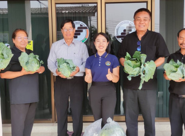 กลุ่มส่งเสริมสหกรณ์ 6 ... พารามิเตอร์รูปภาพ 4