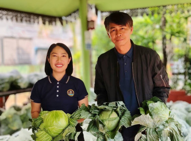 กลุ่มส่งเสริมสหกรณ์ 6 ... พารามิเตอร์รูปภาพ 1